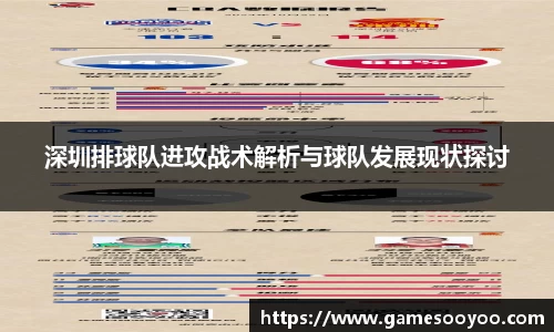 深圳排球队进攻战术解析与球队发展现状探讨